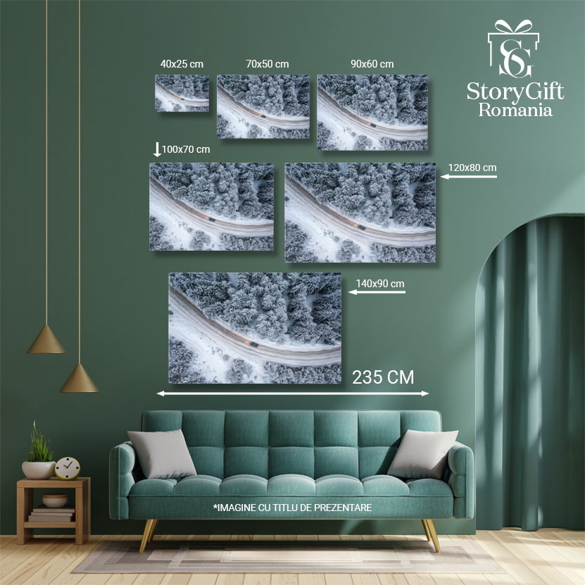 Tablou Canvas Calatorie de Iarna Cu Masina in Munti si Zapada 40x25CM [5]