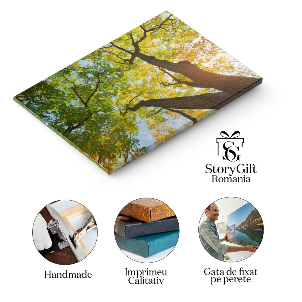 Tablou Canvas Calatorie in padurea toamnei, frunze, peisaj natural, toamna 2519 40x25CM [2]