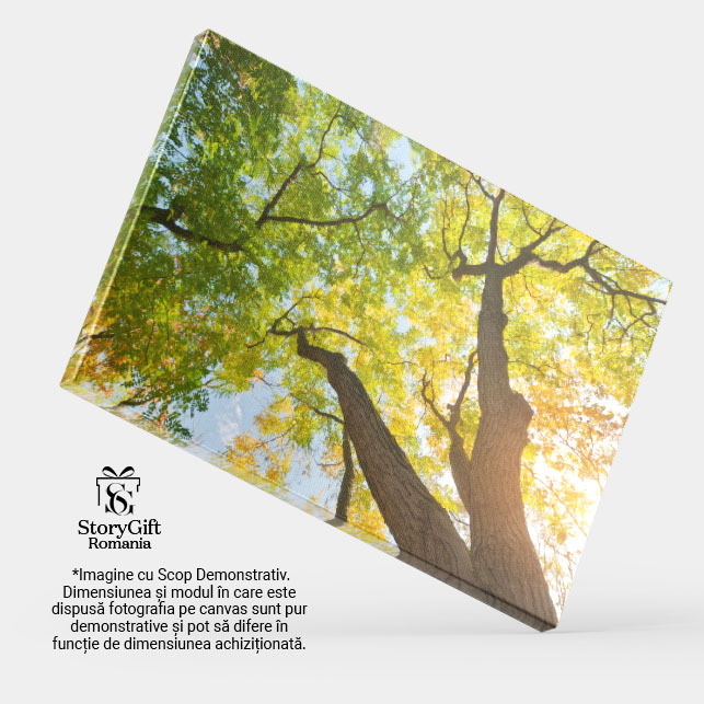 Tablou Canvas Calatorie in padurea toamnei, frunze, peisaj natural, toamna 2519 40x25CM [4]