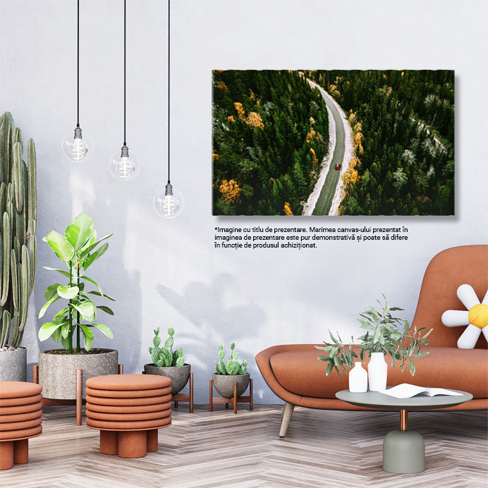 Tablou Canvas - Calatorie prin Europa: drumuri, paduri si culori de toamna 40x25CM [3]