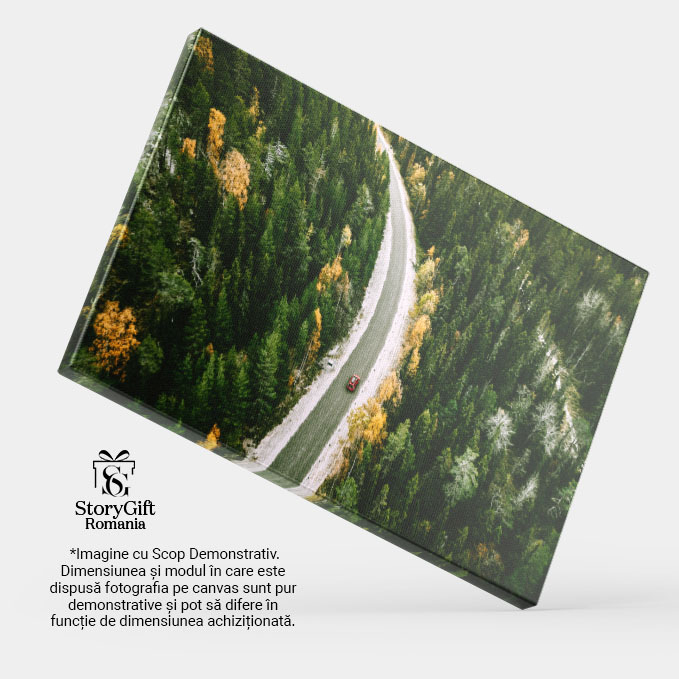 Tablou Canvas - Calatorie prin Europa: drumuri, paduri si culori de toamna 40x25CM [4]