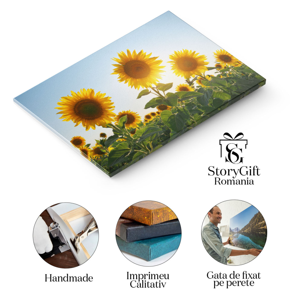 Tablou Canvas Camp de Floarea-soarelui Peisaj, Natura, Vara, Flori. 1950 40x25CM [2]