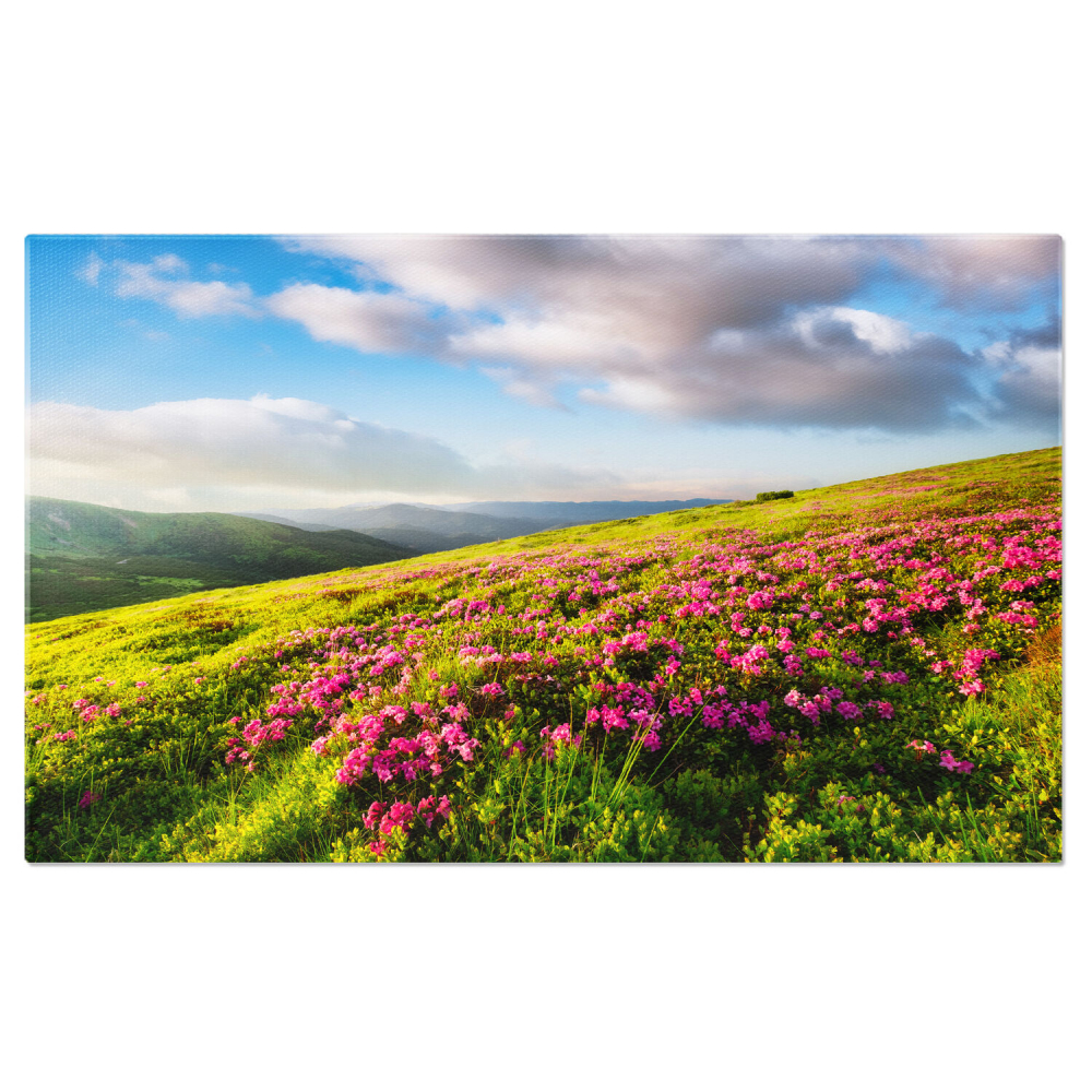 Câmp de Flori la Apus în Munți - Peisaj de Vis cu Flori Colorate, Marime 40x25CM [1]