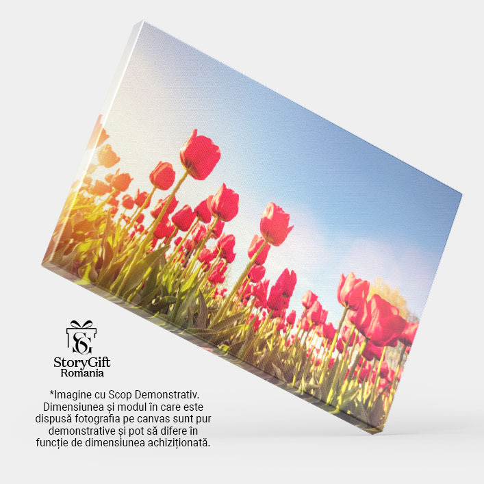 Tablou Canvas Camp de Lalele in Bloom intr-o Zi insorita de Primavara, albastru, natura, agricultura 4843 40x25CM [4]