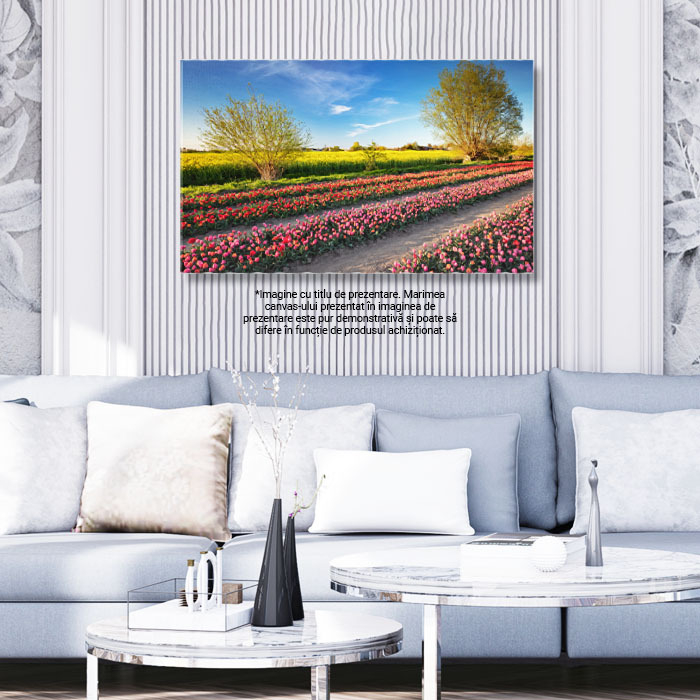 Tablou Canvas Camp de Lalele in Bloom la Apus, primavara, peisaj, flori, agricultura, natura 4838 40x25CM [3]