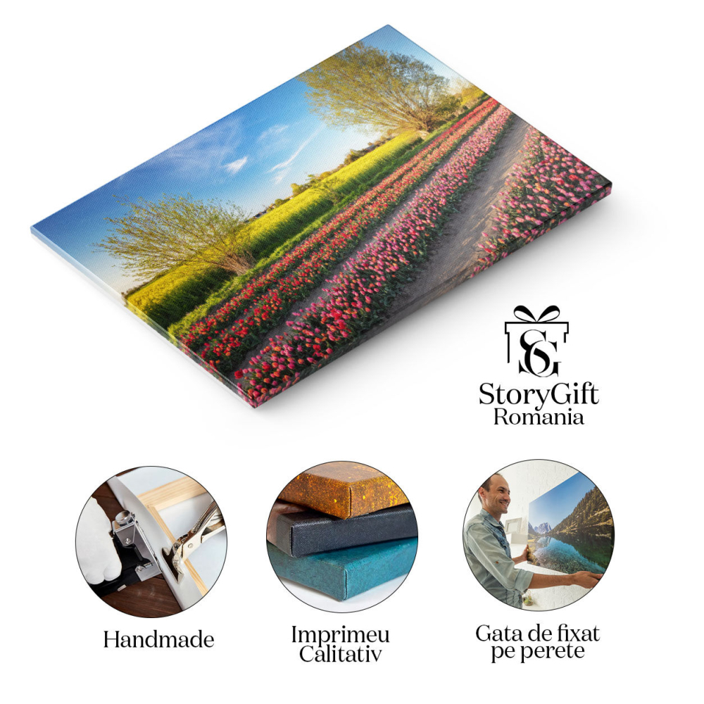 Tablou Canvas Camp de Lalele in Bloom la Apus, primavara, peisaj, flori, agricultura, natura 4838 40x25CM [2]