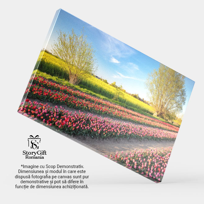 Tablou Canvas Camp de Lalele in Bloom la Apus, primavara, peisaj, flori, agricultura, natura 4838 40x25CM [4]