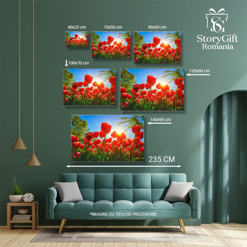 Tablou Canvas - Camp de lalele, splendoare olandeza, frumusete naturala 40x25CM [5]