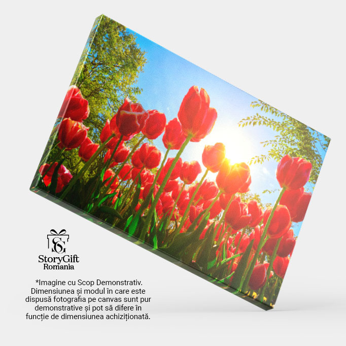 Tablou Canvas - Camp de lalele, splendoare olandeza, frumusete naturala 40x25CM [4]