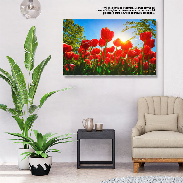 Tablou Canvas - Camp de lalele, splendoare olandeza, frumusete naturala 40x25CM [3]