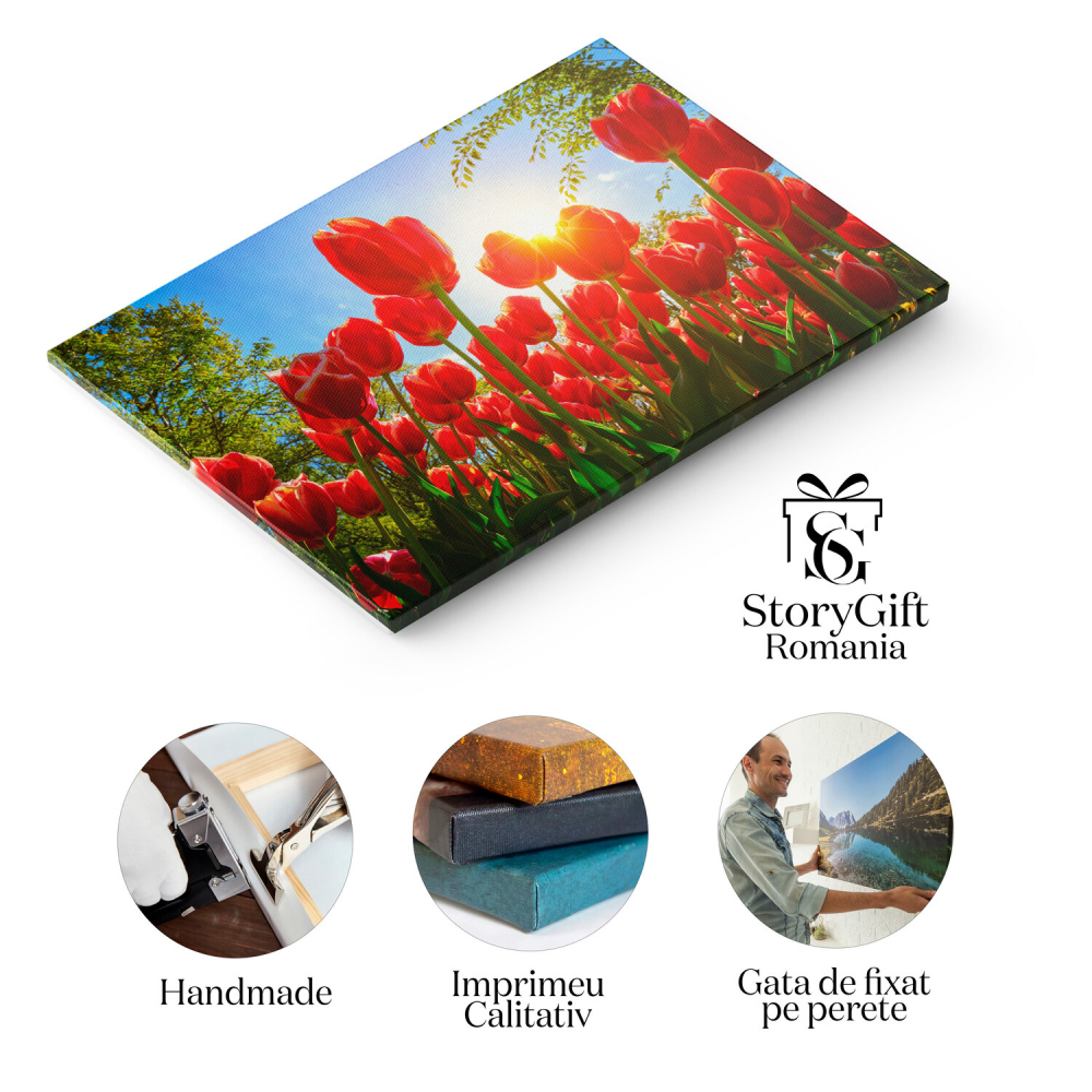 Tablou Canvas Câmp de Lalele: Splendoare Olandeză și Frumusețe Naturală, Marime 40x25CM [2]