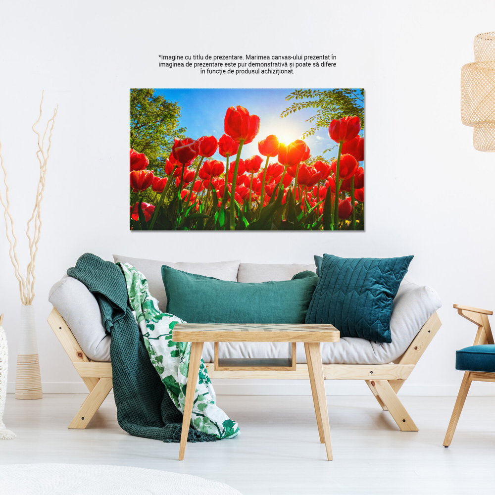 Tablou Canvas Câmp de Lalele: Splendoare Olandeză și Frumusețe Naturală, Marime 40x25CM [3]