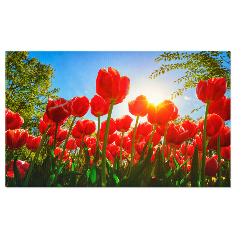 Tablou Canvas Câmp de Lalele: Splendoare Olandeză și Frumusețe Naturală, Marime 40x25CM [1]