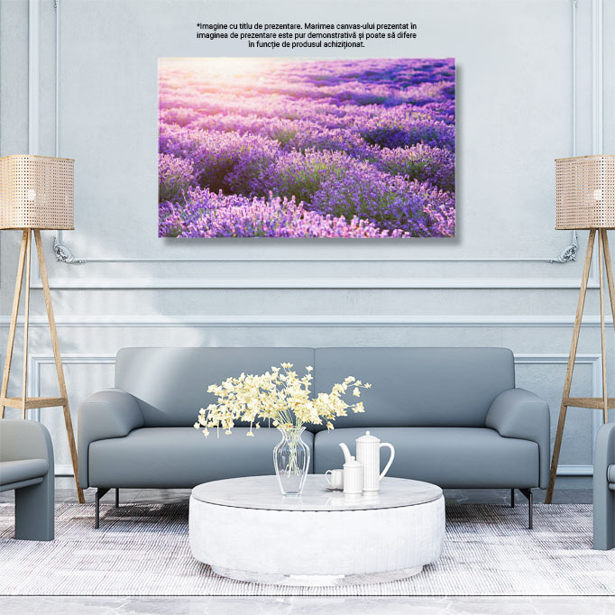 Tablou Canvas: Camp de Lavanda in Provence - Arome si Lumini 40x25CM [3]