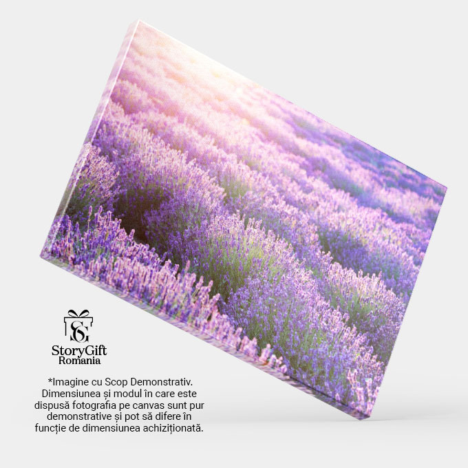 Tablou Canvas: Camp de Lavanda in Provence - Arome si Lumini 40x25CM [4]