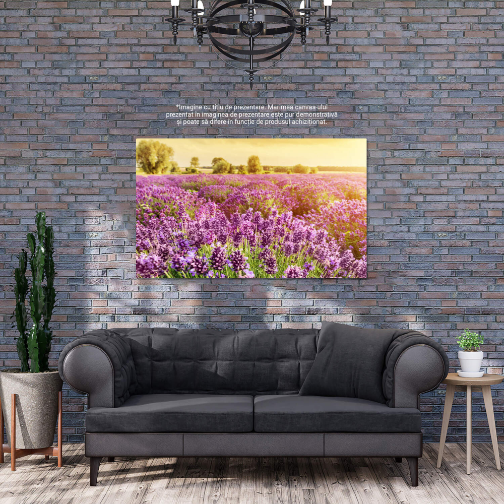 Tablou Canvas: Câmp de Lavandă în Provence - Flori Aromatice, Marime 40x25CM [3]