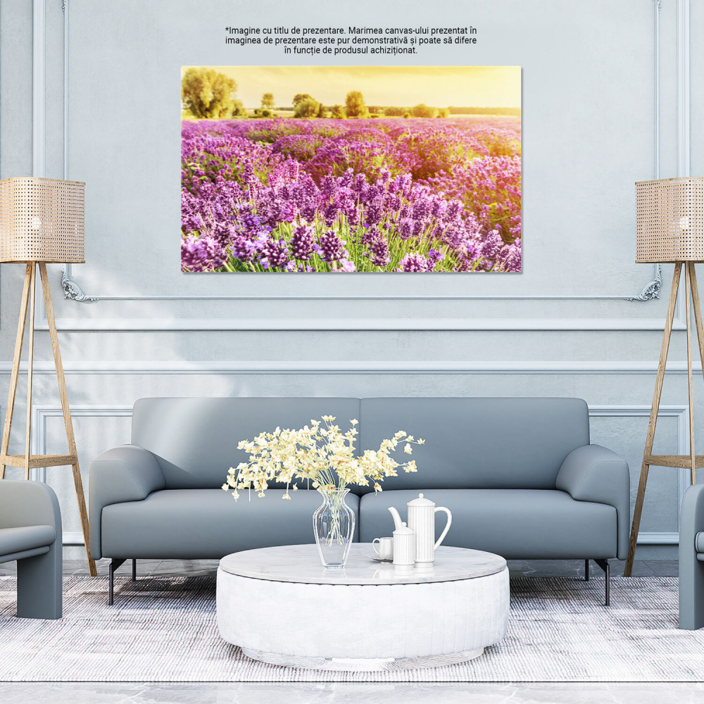 Tablou Canvas: Câmp de Lavandă în Provence - Flori Aromatice, Marime 40x25CM [4]