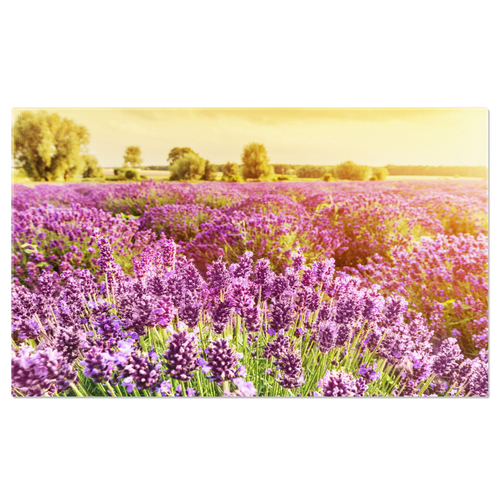 Tablou Canvas: Câmp de Lavandă în Provence - Flori Aromatice, Marime 40x25CM [1]