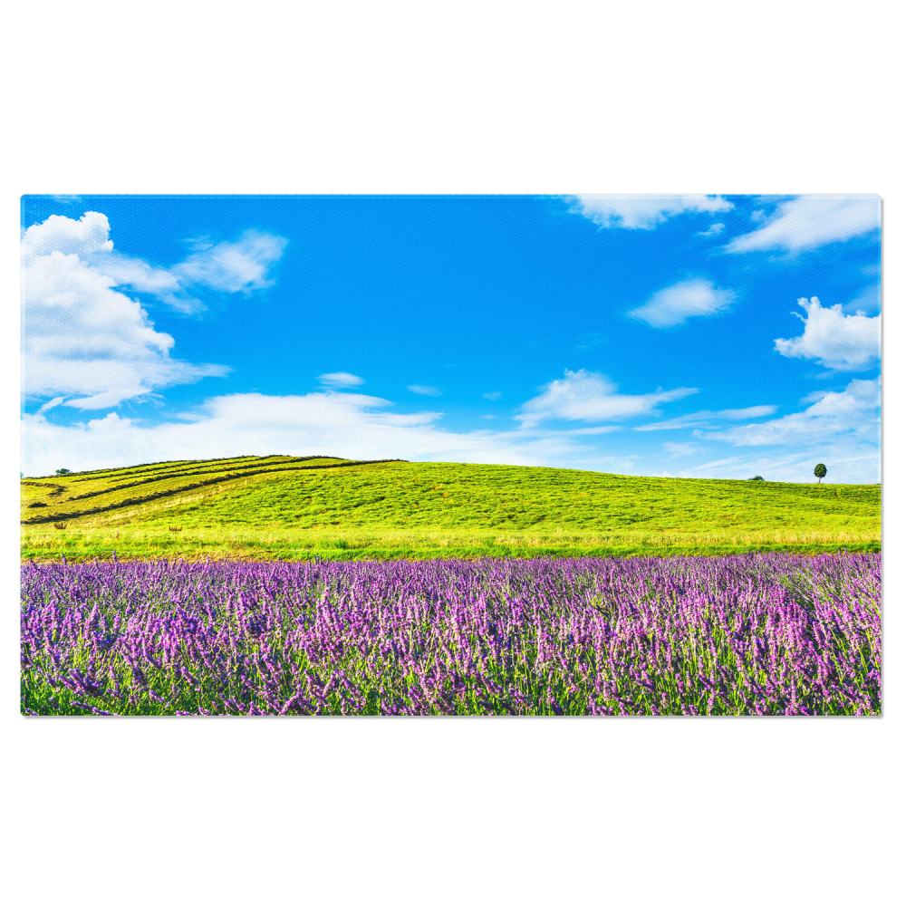 Camp de Lavandă în Toscana: Flori și Aromaterapie, Marime 40x25CM [1]