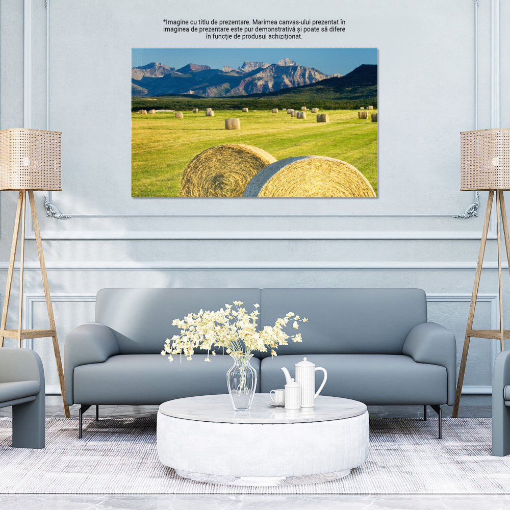 Tablou Canvas: Câmpie în Alberta, Canada - Agricultura și Peisajul Montan, Marime 40x25CM [4]