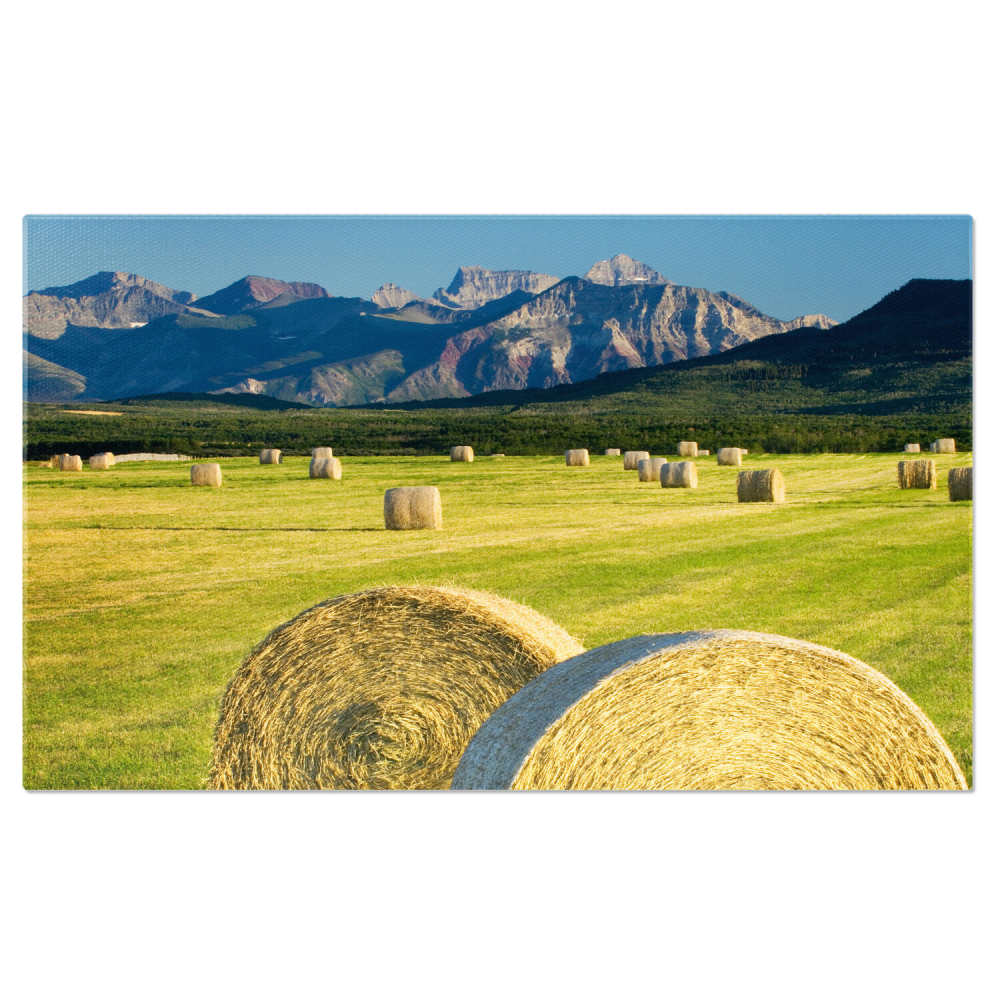 Tablou Canvas: Câmpie în Alberta, Canada - Agricultura și Peisajul Montan, Marime 40x25CM [1]