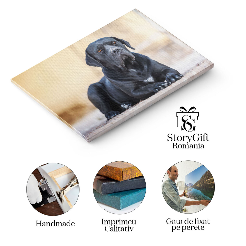 Tablou Canvas Cane Corso Negru Culcat Prieten devot. Cane Corso, negru, prieten, devot 863 40x25CM [2]