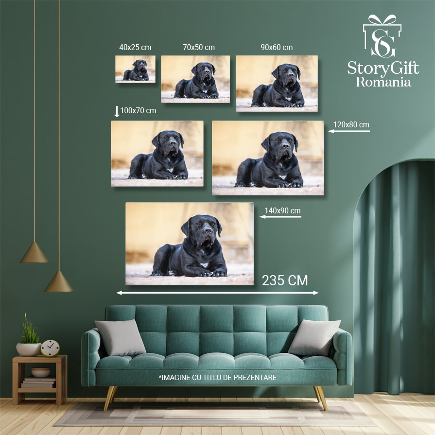 Tablou Canvas Cane Corso Negru Culcat Prieten devot. Cane Corso, negru, prieten, devot 863 40x25CM [5]