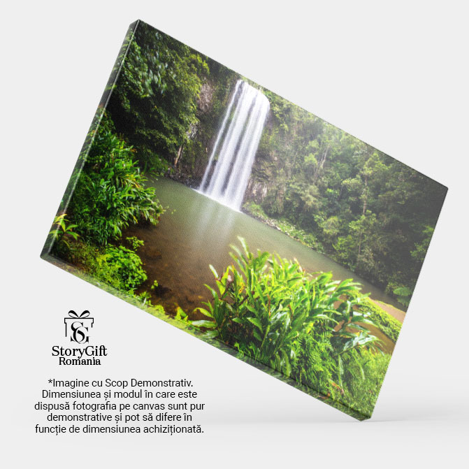 Tablou Canvas Cascada Queensland, Australia, Atherton, cascade, parau, peisaj, jungla, verde 3676 40x25CM [4]