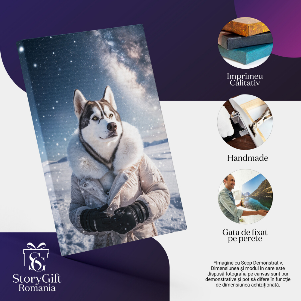 Tablou Canvas Aventurier la Polul Nord
Marime 40x25CM [4]