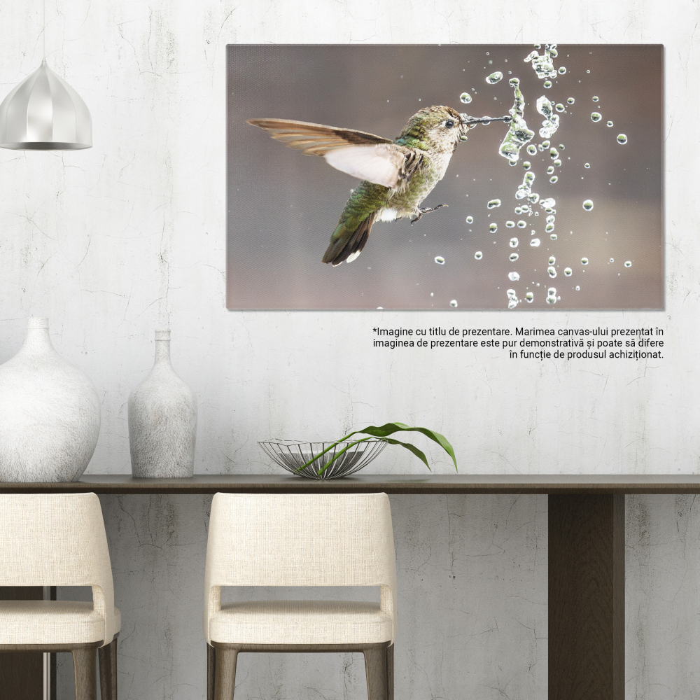 Tablou Canvas Colibri Anna, mascul, joaca cu fantana, baut, natura, pene vibrante, mic 70x50CM [3]