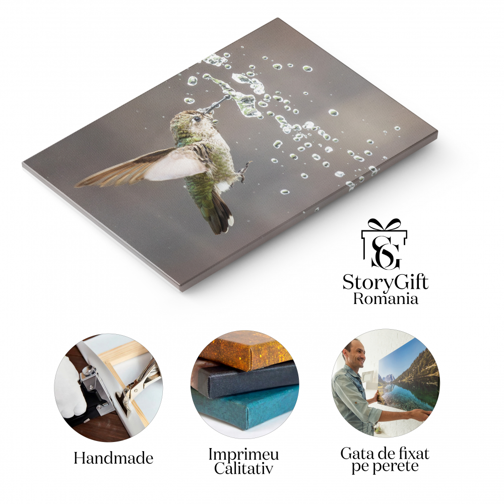 Tablou Canvas Colibri Anna, mascul, joaca cu fantana, baut, natura, pene vibrante, mic 70x50CM [2]