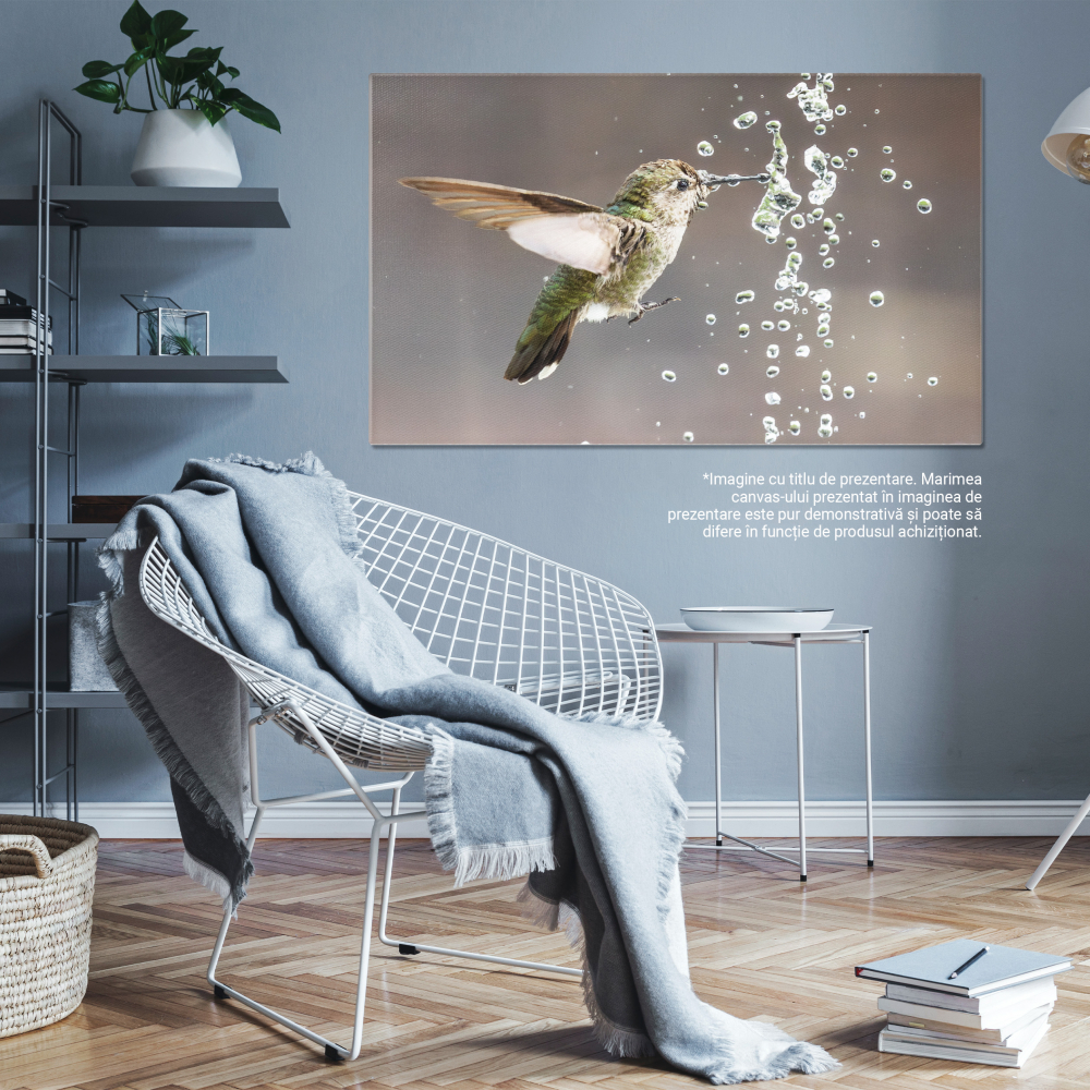 Tablou Canvas Colibri Anna, mascul, joaca cu fantana, baut, natura, pene vibrante, mic 70x50CM [5]