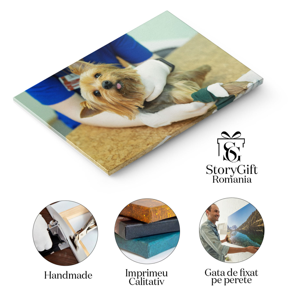 Tablou Canvas: Consultatie la Clinica - Sanatate si Medicina 40x25CM [2]