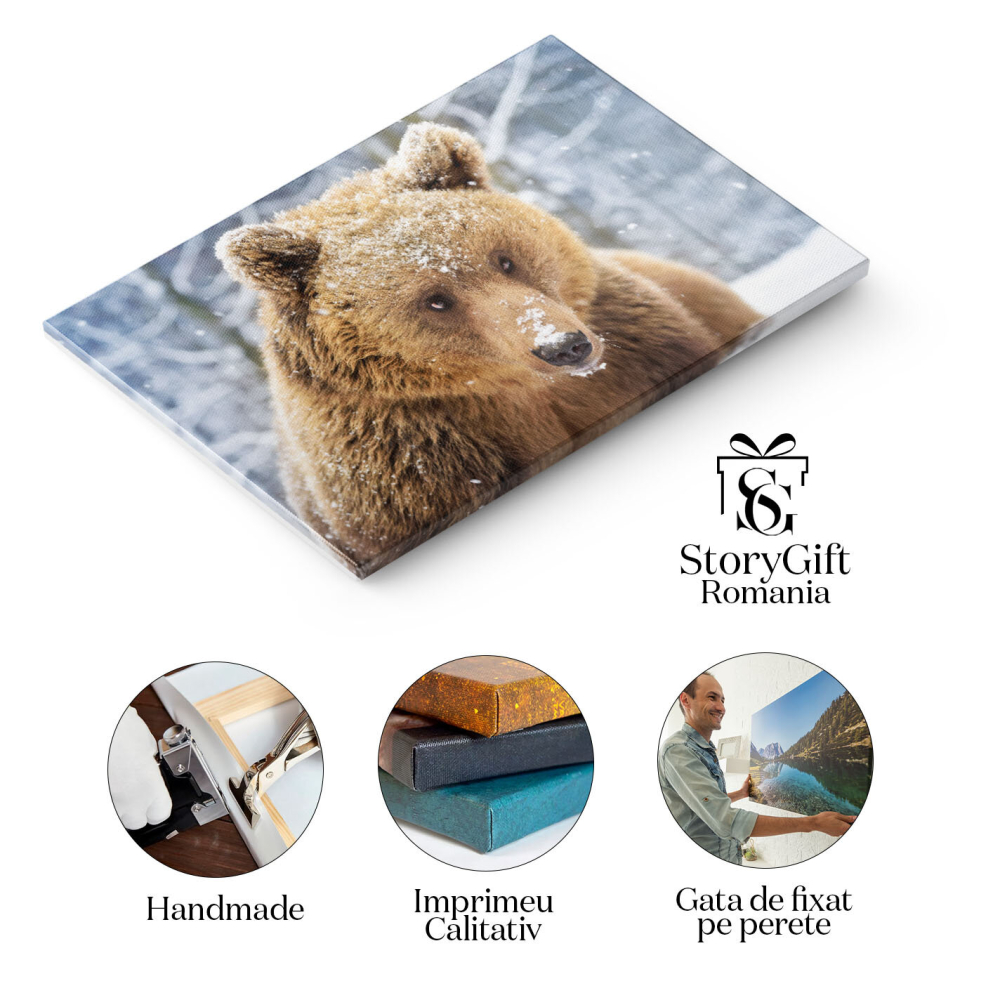 Tablou Canvas - Creatura Padurii, Urs Brun si Frigul Arctic 40x25CM [2]