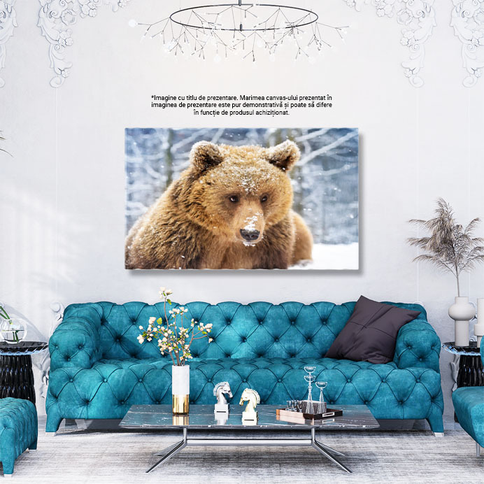 Tablou Canvas - Creatura Padurii, Urs Brun si Frigul Arctic 40x25CM [3]