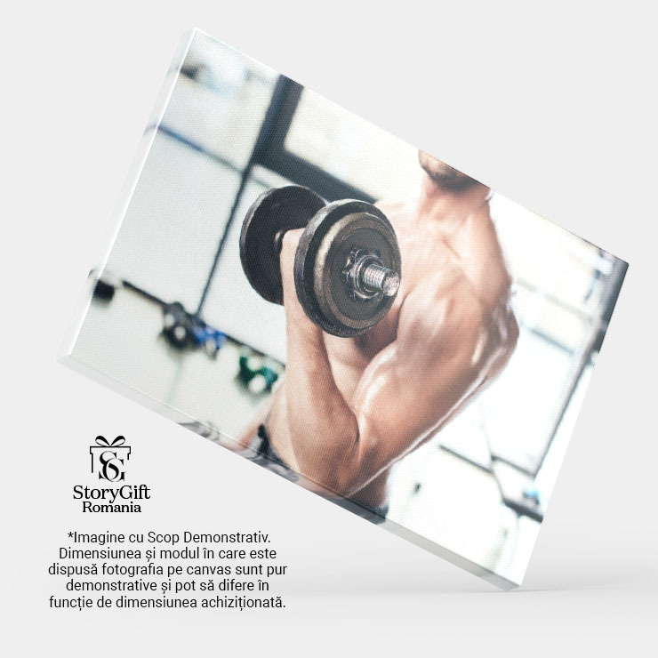Tablou Canvas cu Antrenament cu Gantere - Determinare, Barbat, Sala de Sport 40x25CM [4]