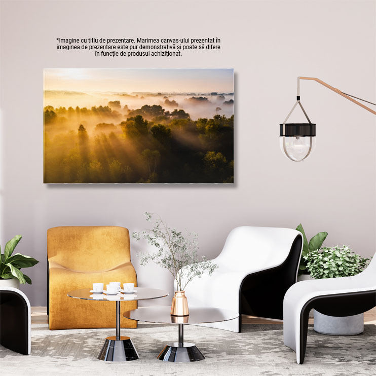 Tablou canvas cu apus, raze de lumina, padure, ceata, natura, multicolor 40x25CM [3]