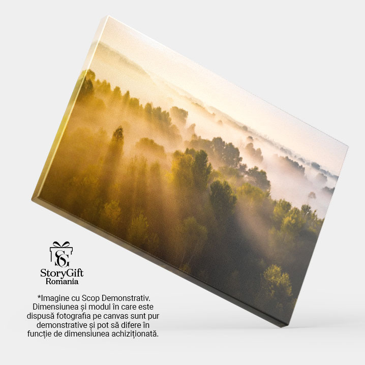 Tablou canvas cu apus, raze de lumina, padure, ceata, natura, multicolor 40x25CM [4]