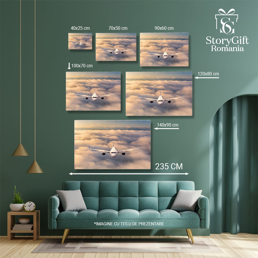 Tablou canvas cu avion, cer, nori, munti, calatorie, zbor, multicolor 40x25CM [5]