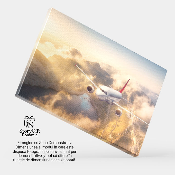 Tablou canvas cu avion, munte, lac, nori, stanci, zbor, multicolor 40x25CM [4]