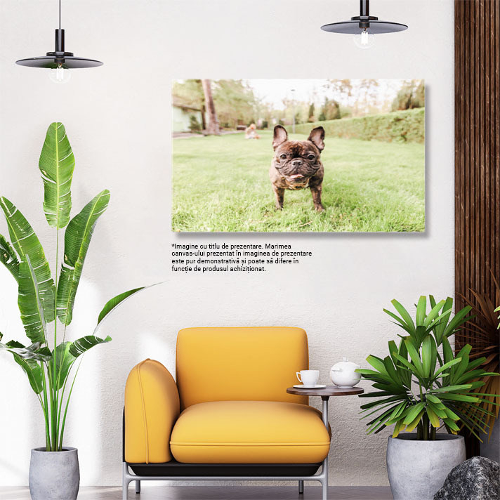 Tablou canvas cu caine, bulldog francez, ham, copaci, gazon, natura, multicolor 40x25CM [3]