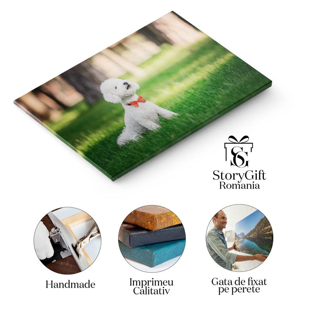 Tablou canvas cu catel, papion, buline, gazon, natura, lumina naturala, multicolor 40x25CM [2]