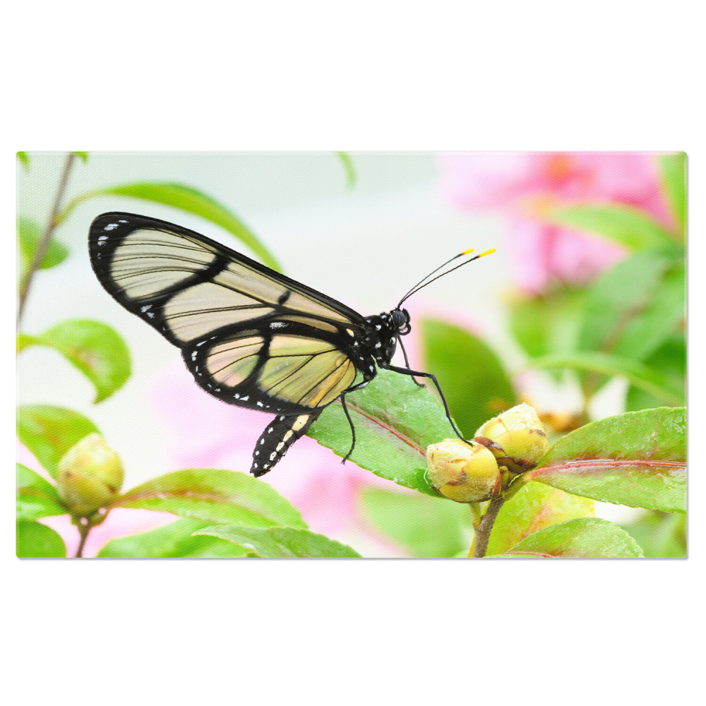 Insecta Colorată pe Frunză - Detalii Fascinante din Lumea Micilor Creații, Marime 40x25CM [1]