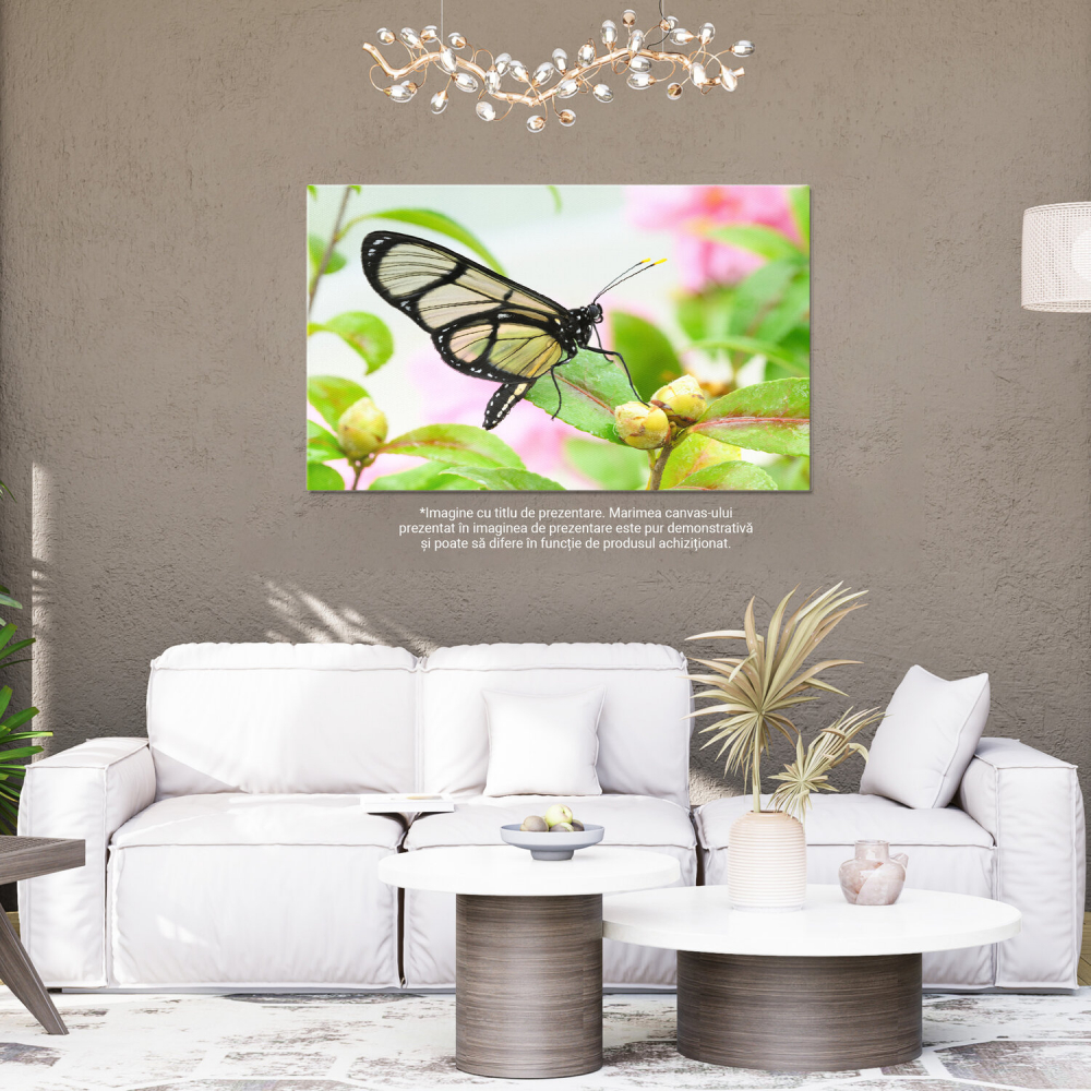 Insecta Colorată pe Frunză - Detalii Fascinante din Lumea Micilor Creații, Marime 40x25CM [4]