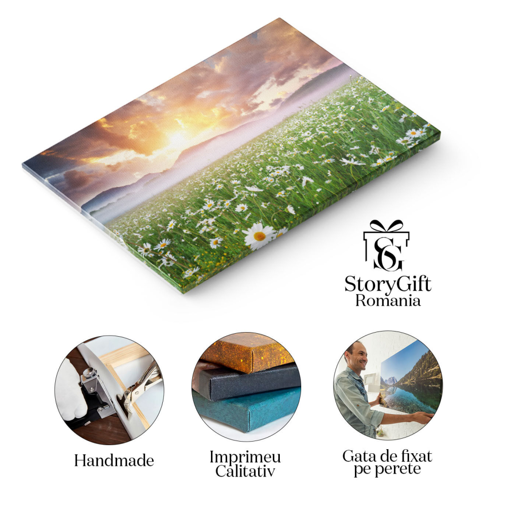 Tablou Canvas -Cu Margarete in Dimineata Cetoasa natura, peisaj, dimineata, ceai, flori 1594 40x25CM [2]