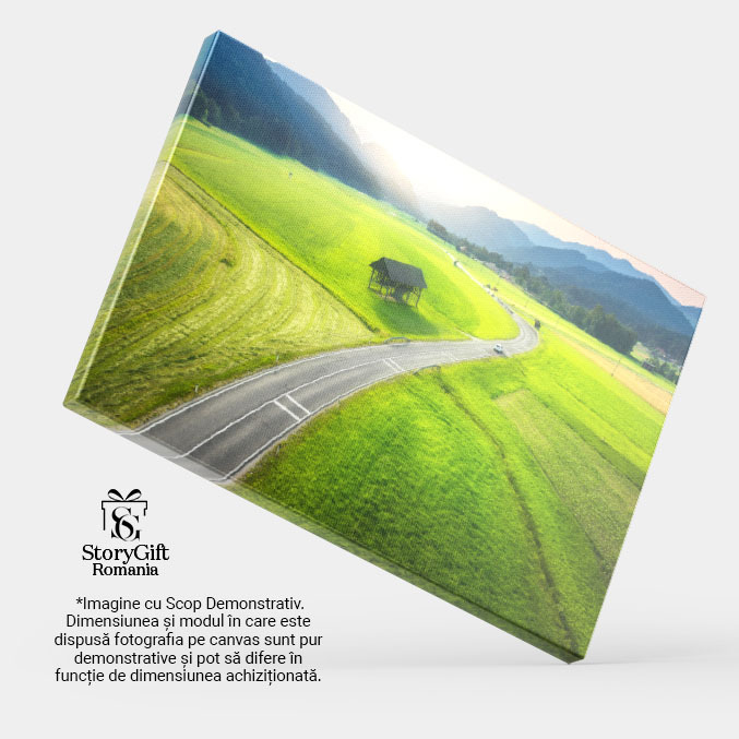 Tablou canvas cu munti, masini, strada, padure, apus de soare, multicolor 40x25CM [4]