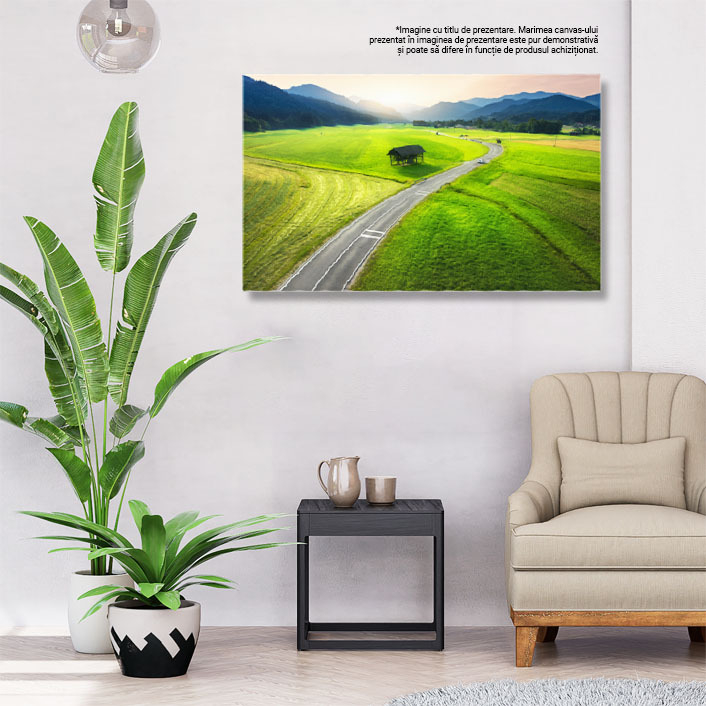 Tablou canvas cu munti, masini, strada, padure, apus de soare, multicolor 40x25CM [3]