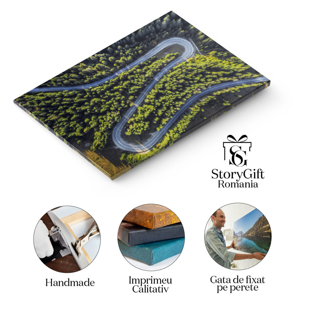 Tablou canvas cu padure, sosea, vedere aeriana, drona, copaci, multicolor 40x25CM [2]