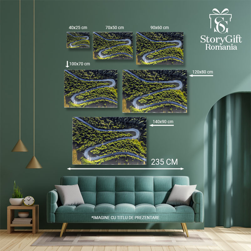 Tablou canvas cu padure, sosea, vedere aeriana, drona, copaci, multicolor 40x25CM [5]