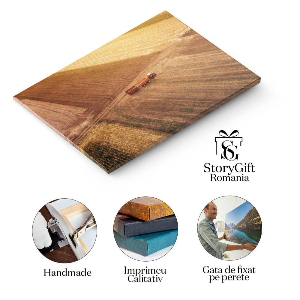 Tablou canvas cu peisaj, agricultura, tractor, camp, grau, multicolor 40x25CM [2]